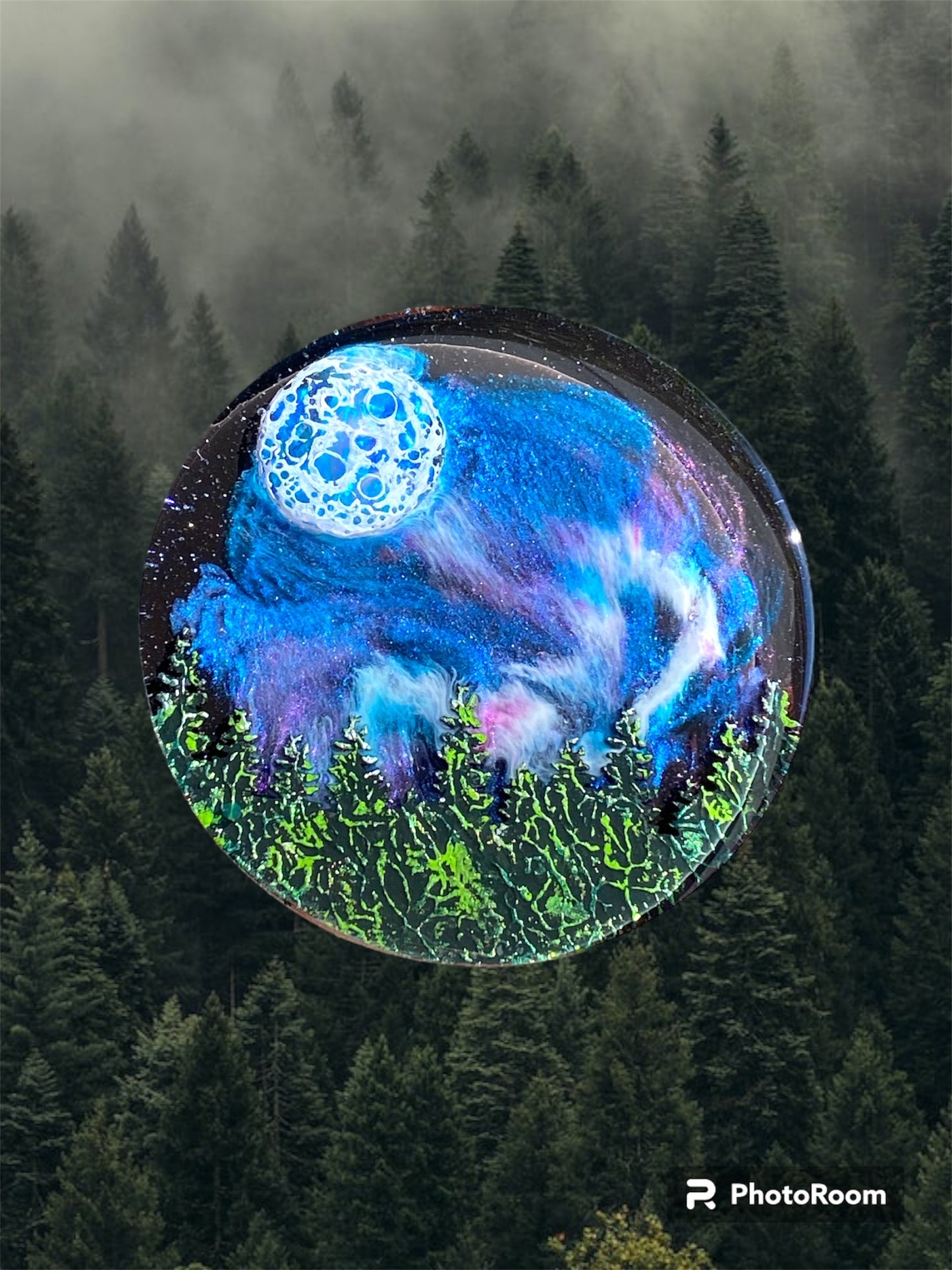 Forest night scape